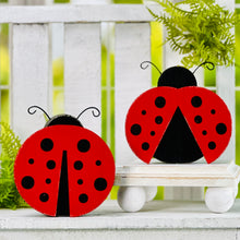 Load image into Gallery viewer, Lily Ladybug

