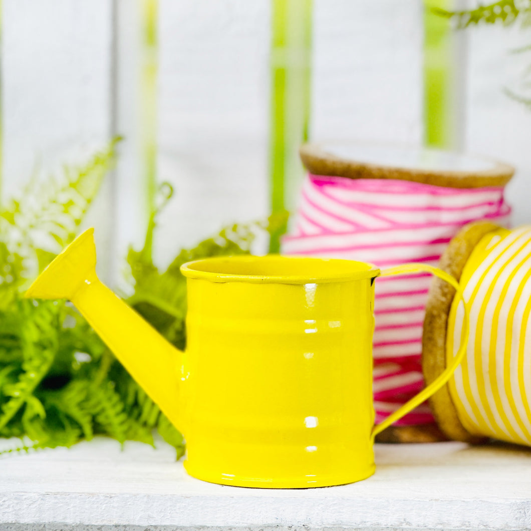 Mini Metal Watering Can