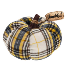 Load image into Gallery viewer, Thankful Harvest Plush Pumpkins
