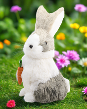 Load image into Gallery viewer, Mr Hopper Sisl Bunny
