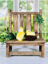 Load image into Gallery viewer, Spring Chicks
