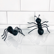 Load image into Gallery viewer, Cast Iron Cuties - Ants
