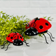 Load image into Gallery viewer, Ladybugs

