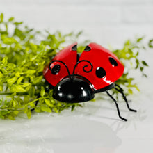 Load image into Gallery viewer, Ladybugs
