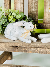 Load image into Gallery viewer, Rustic Spring Bunny
